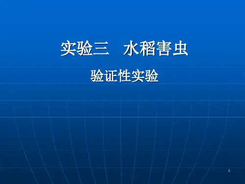 实验三  水稻害虫PPT课件