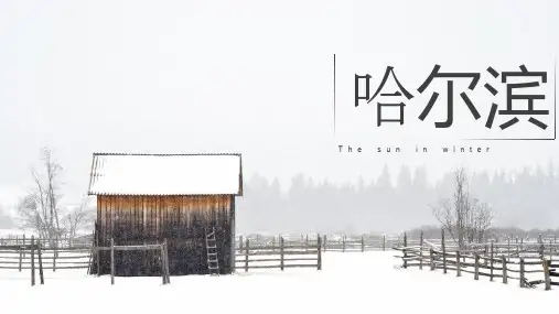 我的家乡 哈尔滨