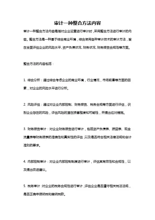 审计一种整合方法内容
