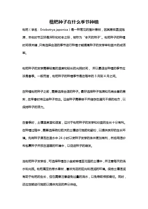 枇杷种子在什么季节种植