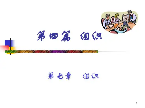 管理学-组织