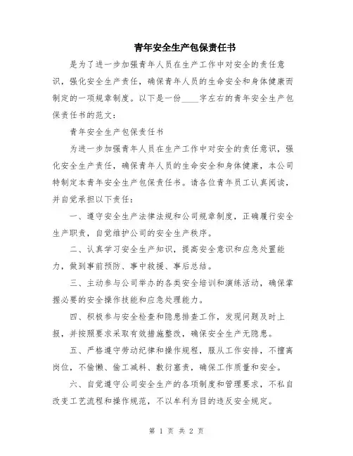 青年安全生产包保责任书