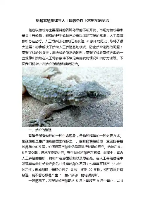 蛤蚧繁殖规律与人工饲养条件下常见疾病防治
