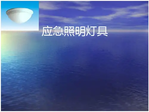 应急照明和疏散指示标志
