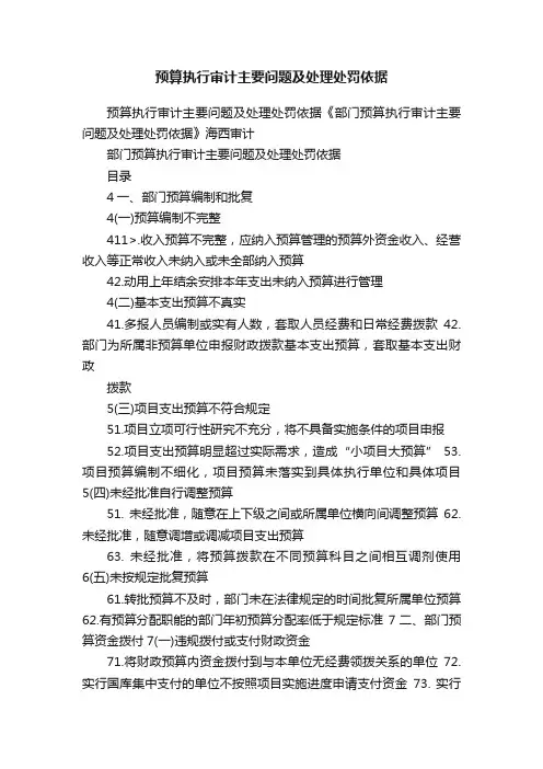 预算执行审计主要问题及处理处罚依据