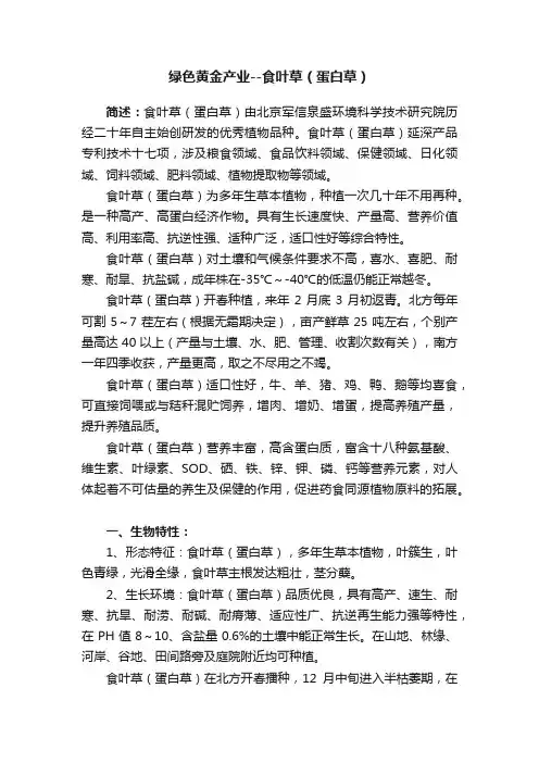 绿色黄金产业--食叶草（蛋白草）