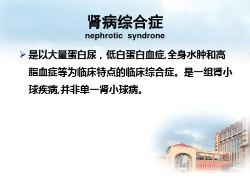 肾病综合征课件