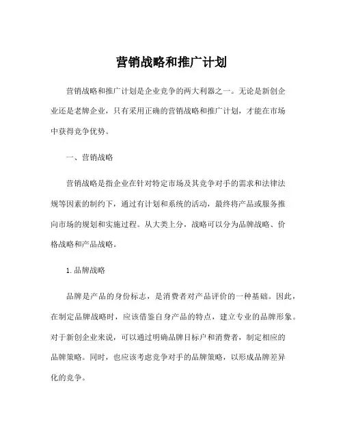 营销战略和推广计划