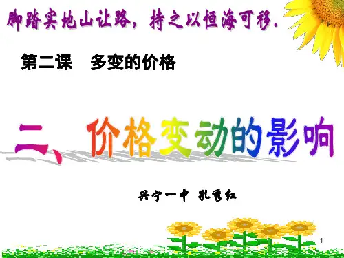 二二、价格变动的影响PPT课件