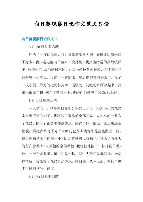 向日葵观察日记作文范文5份