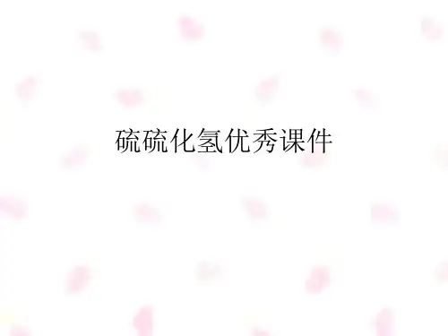 硫硫化氢优秀课件