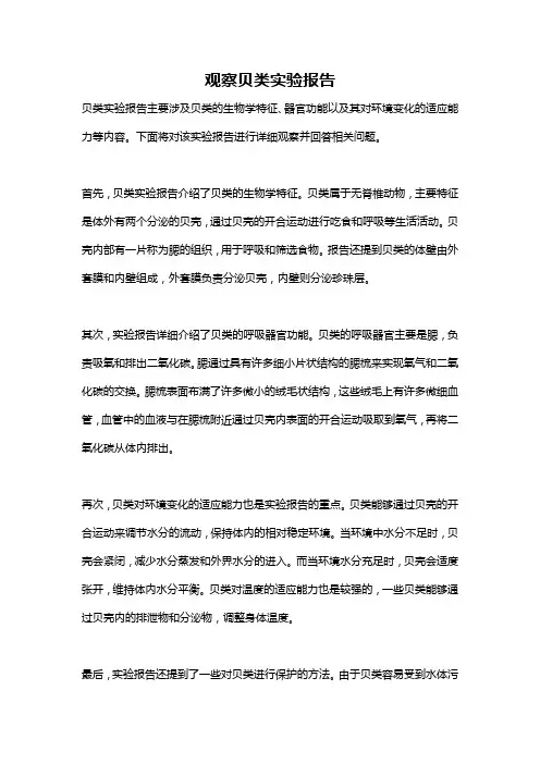 观察贝类实验报告