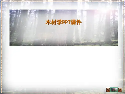 木材学PPT课件