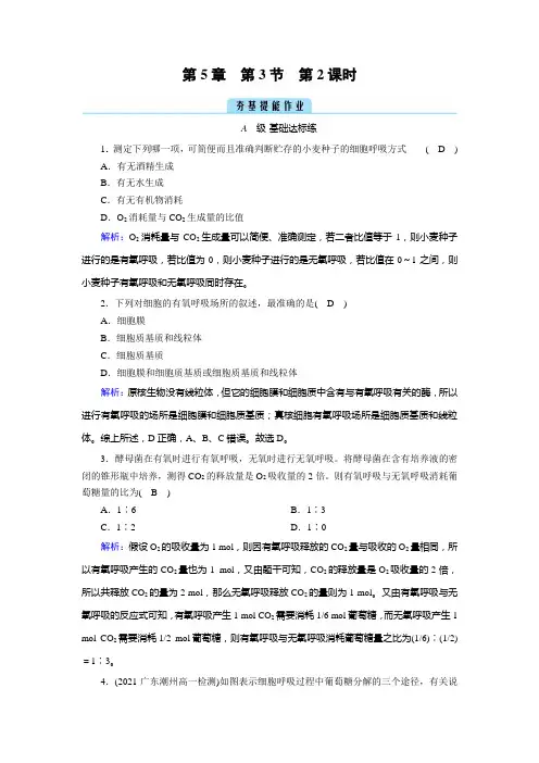 人教版高中生物必修第一册同步培优第5章第3节细胞呼吸的原理和应用第2课时无氧呼吸与细胞呼吸原理的应用