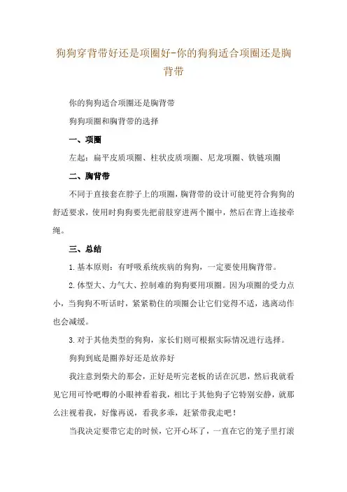 狗狗穿背带好还是项圈好-你的狗狗适合项圈还是胸背带