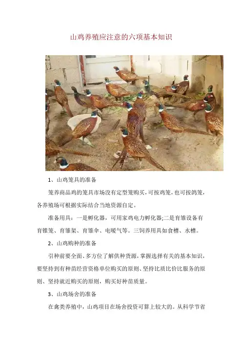 山鸡养殖应注意的六项基本知识