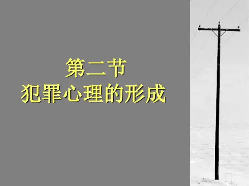 第二三节 犯罪心理和犯罪动机的形成