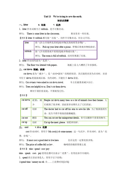 最新人教新目标版九年级全册英语unit13知识点精讲精练【含答案】