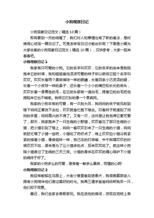 小狗观察日记范文（精选10篇）