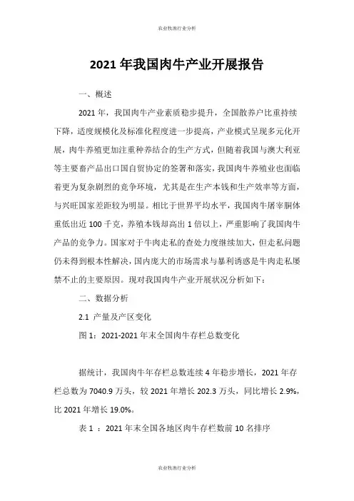 (农业牧渔行业分析)我国肉牛产业发展报告
