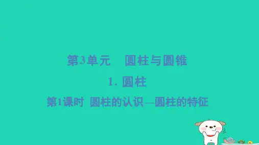六年级下册3圆柱与圆锥1圆柱第1课时圆柱的认识圆柱的特征习题新人教版