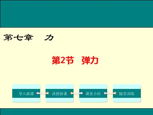 《弹力》优质课件1
