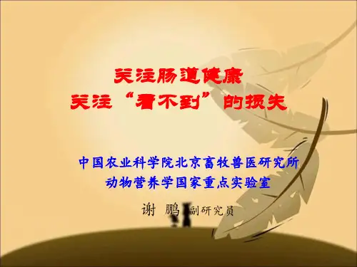 关注看不见损失(山东)