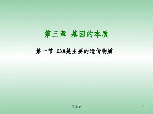 (新课标)高中生物 第3章第1节《DNA是主要的遗传物质》课件2 新人教版必修2