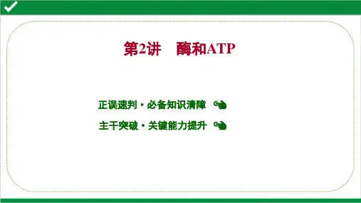 2022年高考生物二轮复习专题1  第2讲  酶和ATP