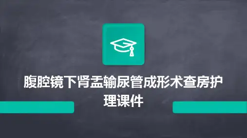 腹腔镜下肾盂输尿管成形术查房护理课件