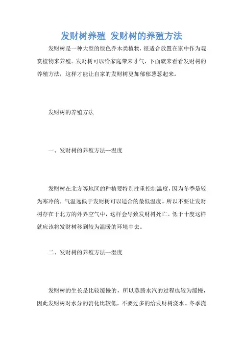 发财树养殖 发财树的养殖方法