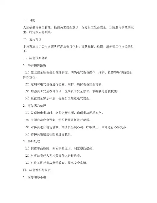触电安全措施应急预案