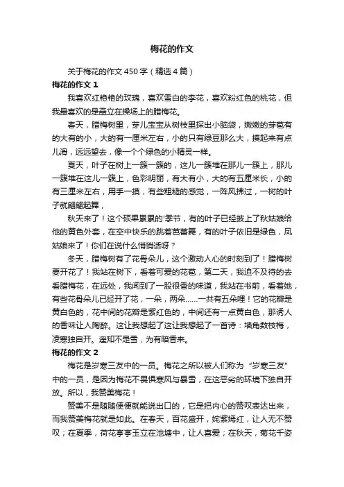 关于梅花的作文450字（精选4篇）