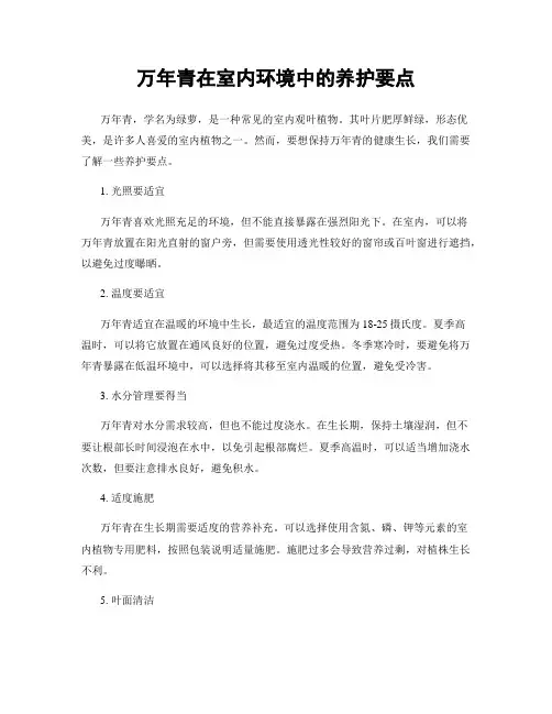 万年青在室内环境中的养护要点