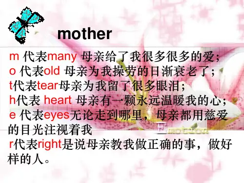 《荷叶母亲》ppt课件全面版