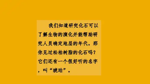《琥珀》(完美版)PPT课件3