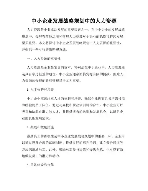 中小企业发展战略规划中的人力资源