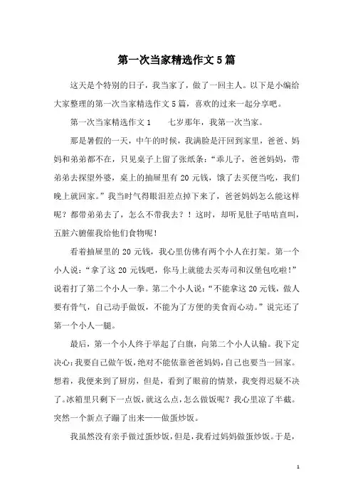 第一次当家精选作文5篇