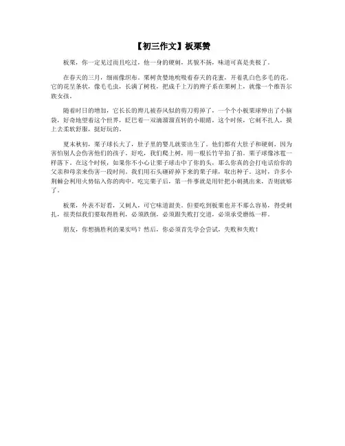 【初三作文】板栗赞
