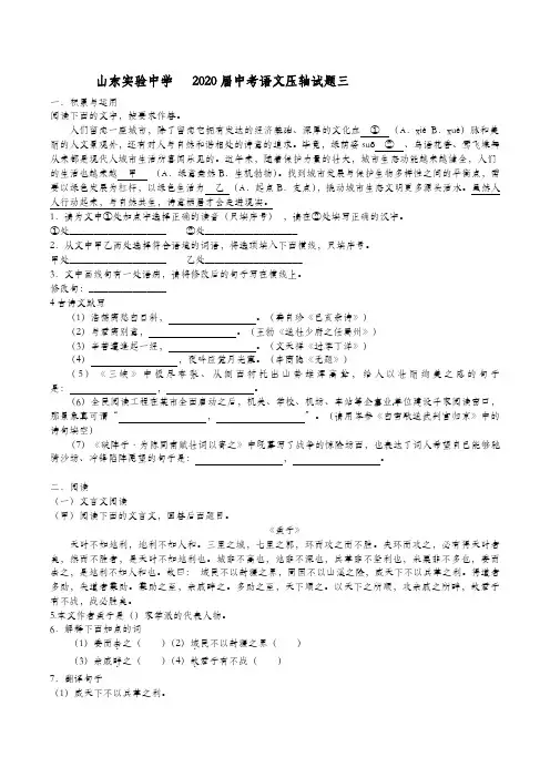 山东实验中学  2020届中考语文压轴试题三