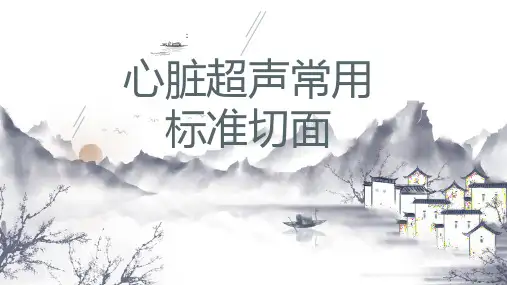 心脏超声常用标准切面-心脏标准切面测量方法