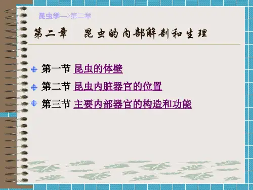 第二章内部解剖生理
