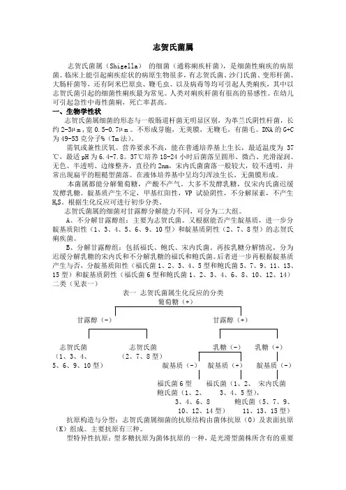 志贺氏菌属(参照模板)