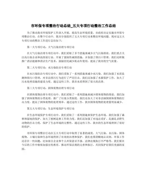 市环保专项整治行动总结_五大专项行动整治工作总结