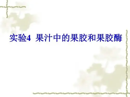 浙科版高中生物选修1《第二部分 酶的应用》课件(共33张PPT)