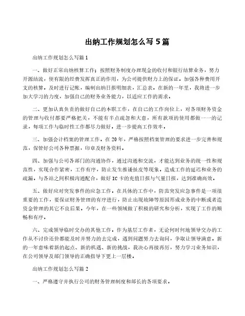 出纳工作规划怎么写5篇