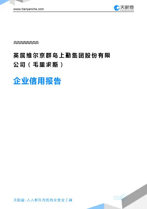 英属维尔京群岛上勤集团股份有限公司(毛里求斯)企业信用报告-天眼查