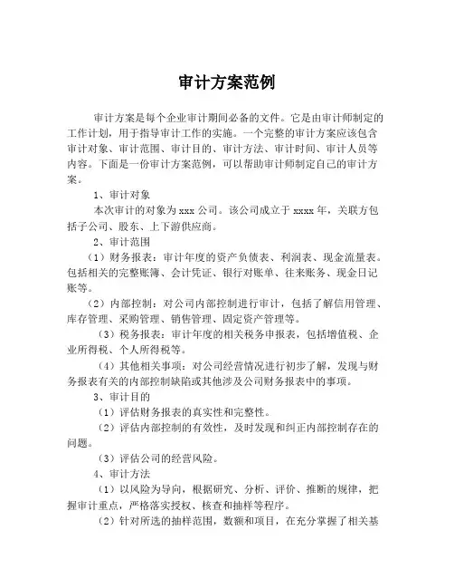 审计方案范例