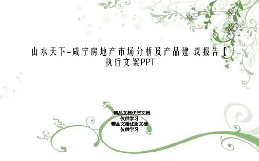 山水天下-咸宁房地产市场分析及产品建 议报告【执行文案PPT