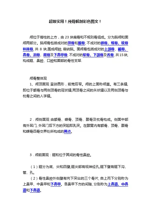 超级实用！颅骨解剖彩色图文！